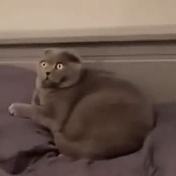 CharradyMa86874's profile picture. 