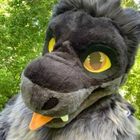 Zeroth 🇨🇦 (@zerothn) 's Twitter Profile