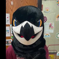 George The Hawk (@georgetown204) 's Twitter Profile