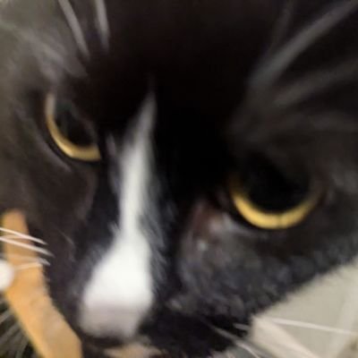 ZErov020's profile picture. 