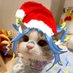 ☆Feon ☆ (@feonartist) Twitter profile photo