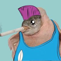 PepegaRed.sol (@pepegared84357) 's Twitter Profile