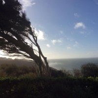 Clare Whitney (@_clarewhitney) 's Twitter Profile Photo