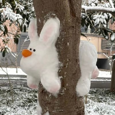 rr_mxmb's profile picture. 🇯🇵위니