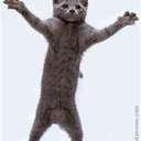 Rose Hilliard - @Meadmaid52 - Twitter