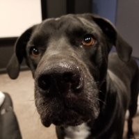 The Mustachioed James (@hithere144) 's Twitter Profile