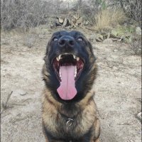 Pp22 (@usuariocrypto22) 's Twitter Profile
