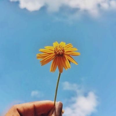 Crypto enthusiast | Airdrop hunter | Sports lover | Microsoft expert | Exploring tech & finance opportunities 🚀⚡