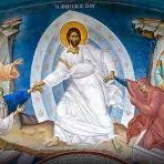 HylomorphicBro's profile picture. Reluctant resident of clown world 🤡. Christ is King. ☦️