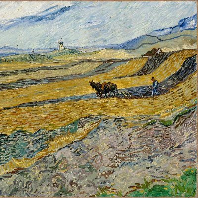 DGD490394326731's profile picture. "Well, silence is the enemy, so gimme, gimme revolution".