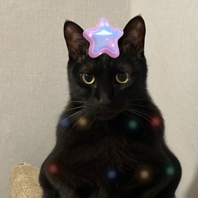 yoo2b1hj's profile picture. 귀엽고 즐겁고 좋아하는것들 기록하기