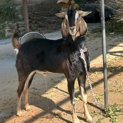 xthreadly's profile picture. Healthcare Consultant