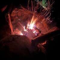 Cp･Alpha (@sx_omisab) Twitter profile photo