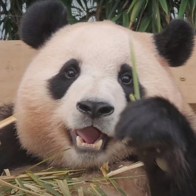 guyunfng's profile picture. 