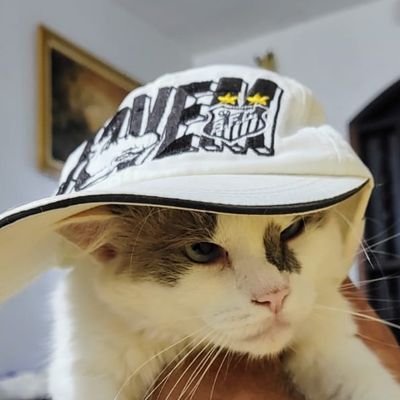 honesto, sincero, trabalhador, fanático torcedor do Santos FC.