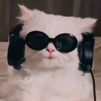 Bababoo (@jaemohnn) 's Twitter Profile Photo