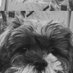 Rishi (@0xrishi) Twitter profile photo Rishi (@0xrishi) Twitter profile photo