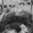 Rishi