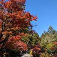 にぶる (@niburu0612) 's Twitter Profile