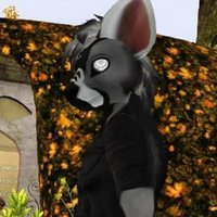 AardKay (@aardkay) 's Twitter Profile