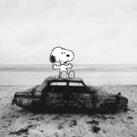 L ⎕ (@jc2oo5gba) 's Twitter Profile