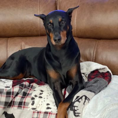 wwiii_reef's profile picture. Add a bio to your profile