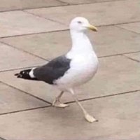 I’m quitting tommow (@isfictional) 's Twitter Profile