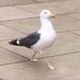 I’m quitting tommow (@isfictional) Twitter profile photo I’m quitting tommow (@isfictional) Twitter profile photo