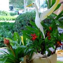 Venus Suarez - @VenusSuarez - Twitter