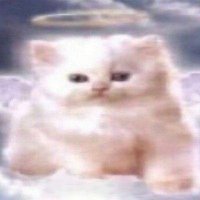 dseee+ (@ds2ee_) 's Twitter Profile