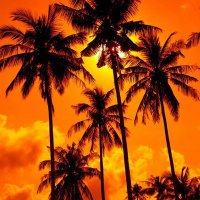 Christian (@christianl82562) 's Twitter Profile Photo