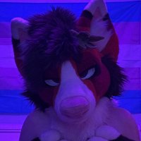 cedar ๐๐ณ๏ธโโง๏ธ ๐ denfur (@custerpup) 's Twitter Profile Photo cedar ๐๐ณ๏ธโโง๏ธ ๐ denfur (@custerpup) 's Twitter Profile Photo