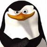 Skipper (@twittskipper) 's Twitter Profile