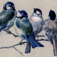 bird(@bird) 's Twitter Profileg