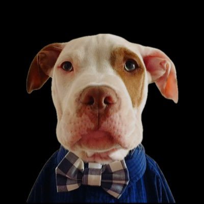 rosskrothe's profile picture. 