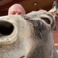 Grey Stafford (@zoomility) 's Twitter Profile