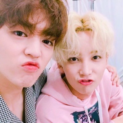 coupjeongthnkr's profile picture. for #에스쿱스 and #정한 ⋆ ₊ ゚ ☽ * ₊ ⋆