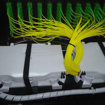 FredyMosqu52104's profile picture. 