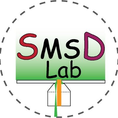 Single Molecule Spectroscopy & Dynamics Lab | Student-run account