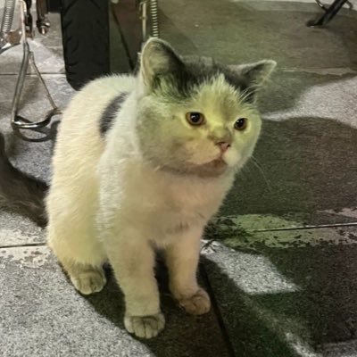 sira_faii's profile picture. 