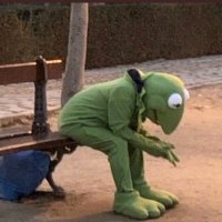 distraught kermit (@vin4moretimes) 's Twitter Profile