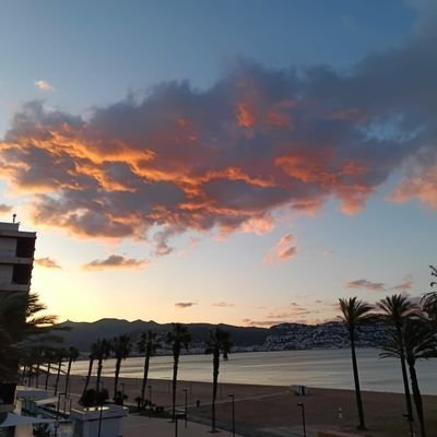 Ryumei141507's profile picture. CO Native, world traveler, retired private chef, equestrian, animal/nature lover, funny, sweet, genuine, loner, bi, single 🇺🇸✡️