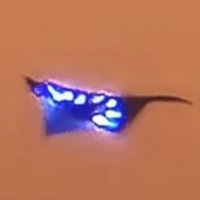 letsgosurfinnow™️ (@letsgosurfinno3) 's Twitter Profile Photo letsgosurfinnow™️ (@letsgosurfinno3) 's Twitter Profile Photo