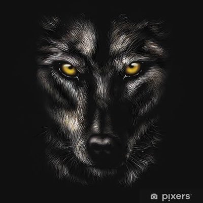 Volkan_Algoritm's profile picture. Doğru kararlar tecrübeden gelir ama tecrübe kötü kararlardan oluşur.