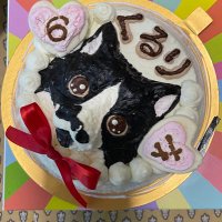 3本脚猫くるり☀️軟骨肉腫闘病中 (@kururi1029) Twitter profile photo