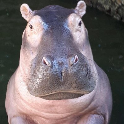 Rabbit6681's profile picture. #JustBeTEN​ .. 🐱♥️..