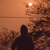 Young Pal (@young_pal08) 's Twitter Profile