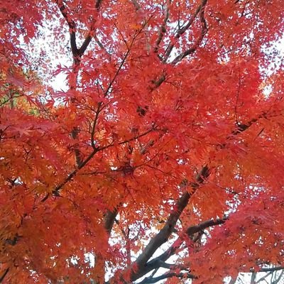 near7071th's profile picture. 