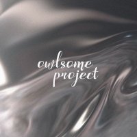 owlsome (@owlsomeproject) 's Twitter Profile Photo owlsome (@owlsomeproject) 's Twitter Profile Photo