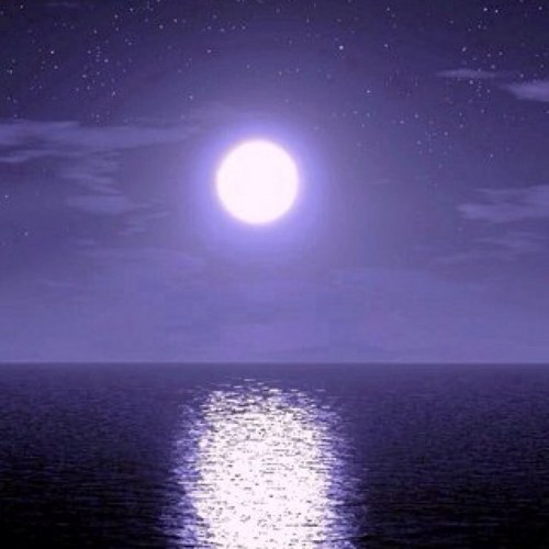 MandWcom's profile picture. どうもラザニアです。好きなことをつらつらと